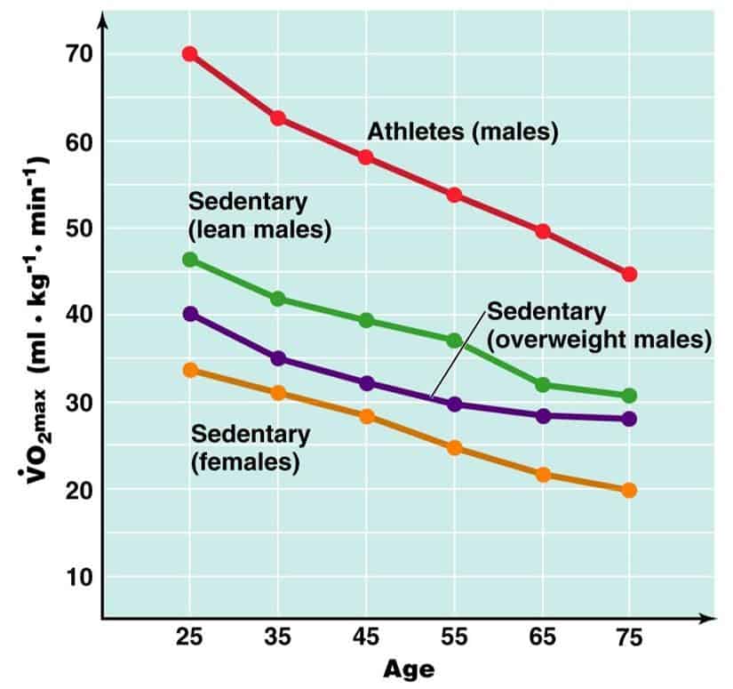 Razlike v aerobni zmogljivosti med različnimi skupinami oseb. Vrhunski športniki imajo skoraj 2x višjo zmogljivost kot povprečne aktivne osebe.